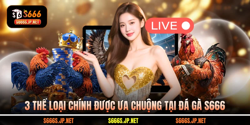 3 thể loại chính được ưa chuộng tại Đá gà S666