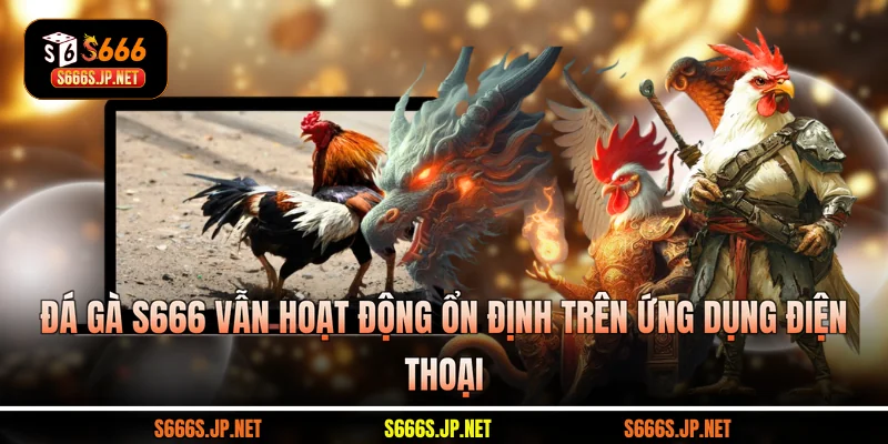 Đá gà S666 vẫn hoạt động ổn định trên ứng dụng điện thoại